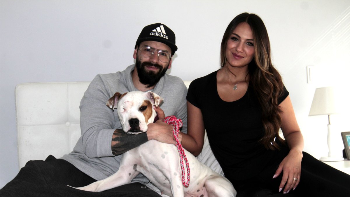 La perrita perdió uno de sus ojos como consecuencia del ataque.