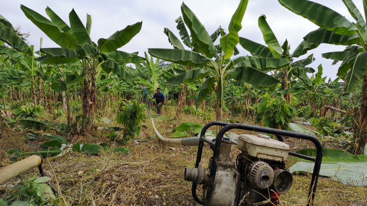 Trabajo. Las bombas para regar consumen gasolina según su capacidad y su antigüedad.