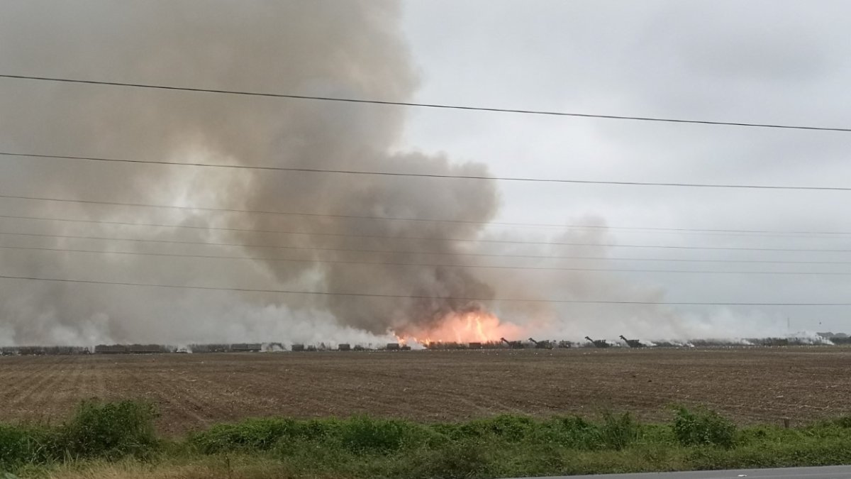 Los ingenios de la costa están más tecnificados que los de la Sierra