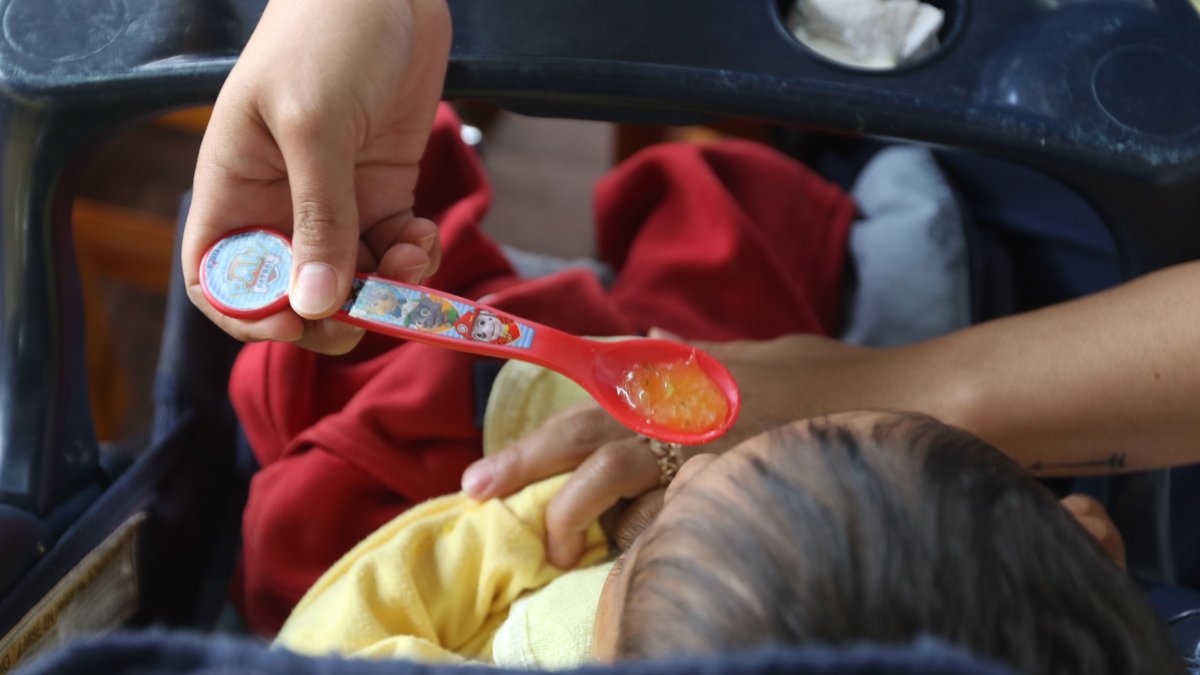 Referencial. La Corte señala que las instituciones deberán garantizar el derecho al cuidado.