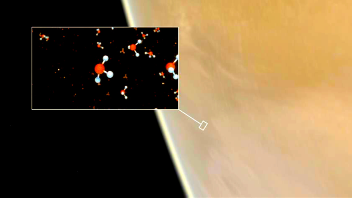 Venus alberga o pudo albergar vida, de acuerdo a un reciente hallazgo en su atmósfera, publicado en 