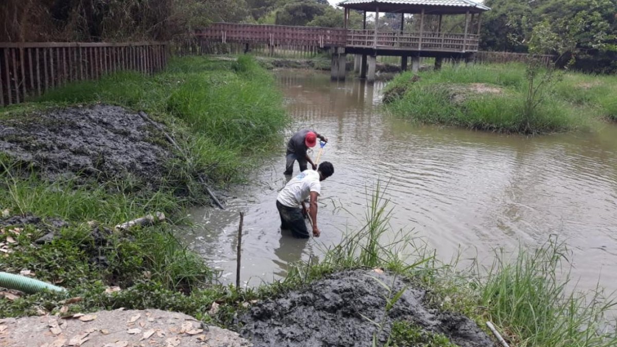 Los comuneros hicieron una minga a finales de agosto en el estanque de los cocodrilos.