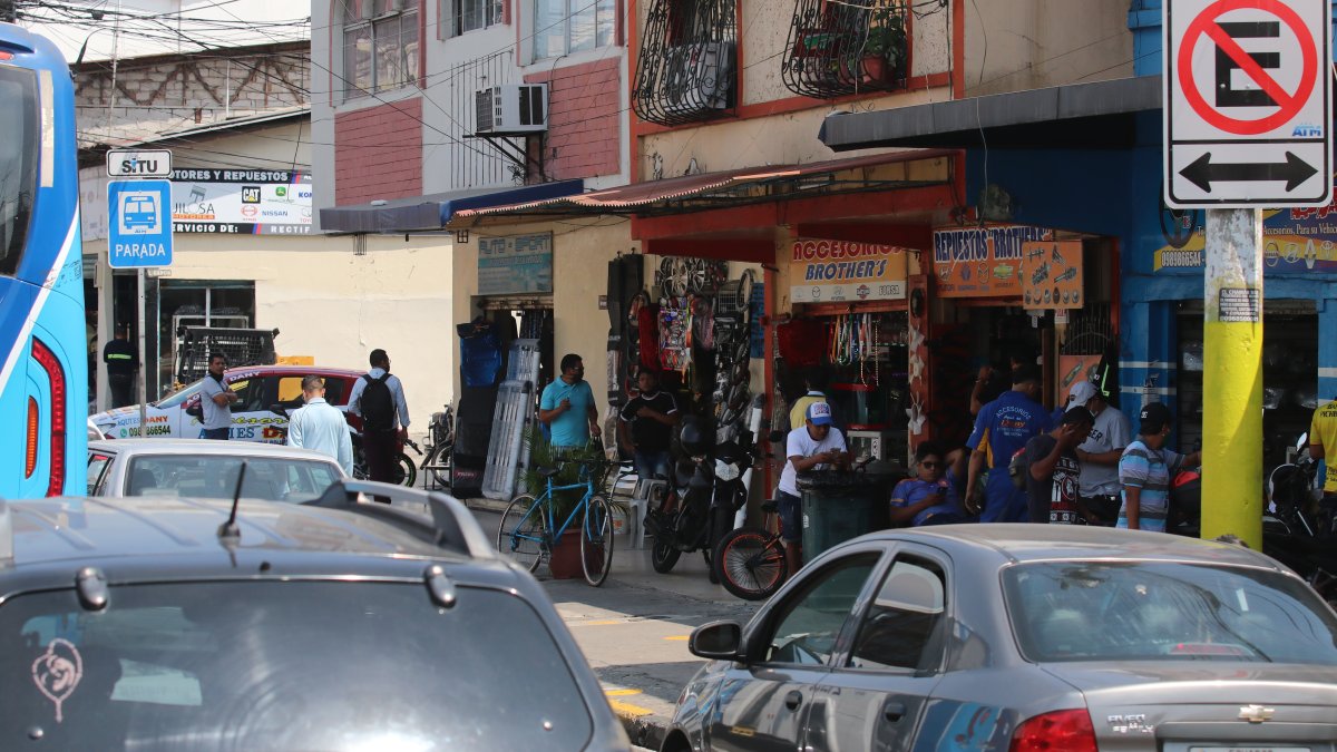 Hecho.  Los expertos sugieren que en la ciudad, otros puntos cuenten con espacios similares.