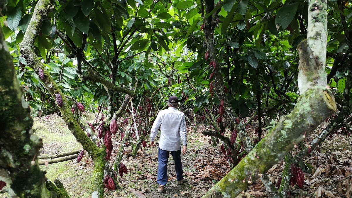 Empresas multinacionales han comprado propiedades en Ecuador.