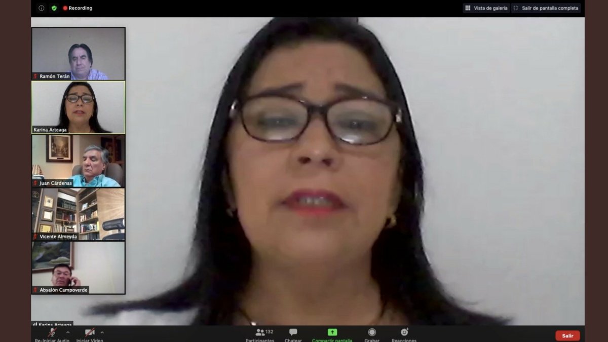 La legisladora Arteaga en el uso de la palabra durante el pleno que le levantó la inmunidad.