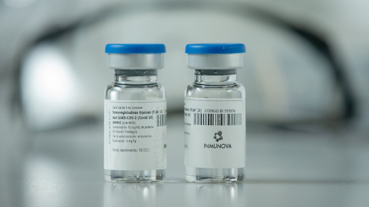 La Fase 2/3 del estudio evalúa la seguridad y eficacia del suero en pacientes adultos con enfermedad moderada a severa, dentro de los diez días del inicio de síntomas y que requieren hospitalización.