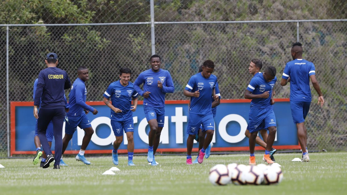 Aún no se conoce la lista de seleccionados ecuatoriana para el inicio de las eliminatorias.