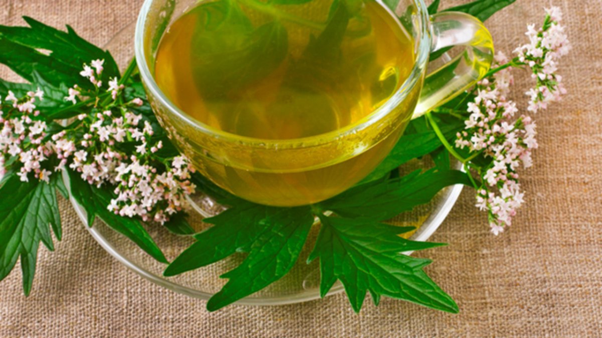 El té de valeriana debe tomarse tibio y preferentemente 30 minutos antes de acostarse.