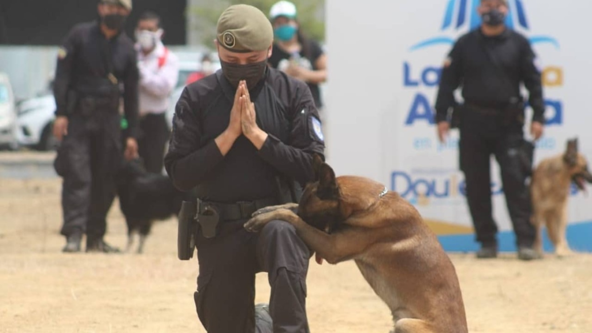 En la jornada, llevada a cabo esta semana, los agentes mostraron lo hábiles que son los canes que conviven con ellos.