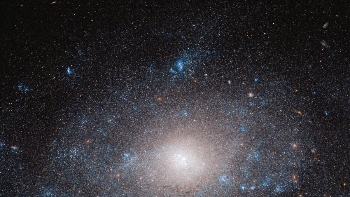 La galaxia NGC 5585.