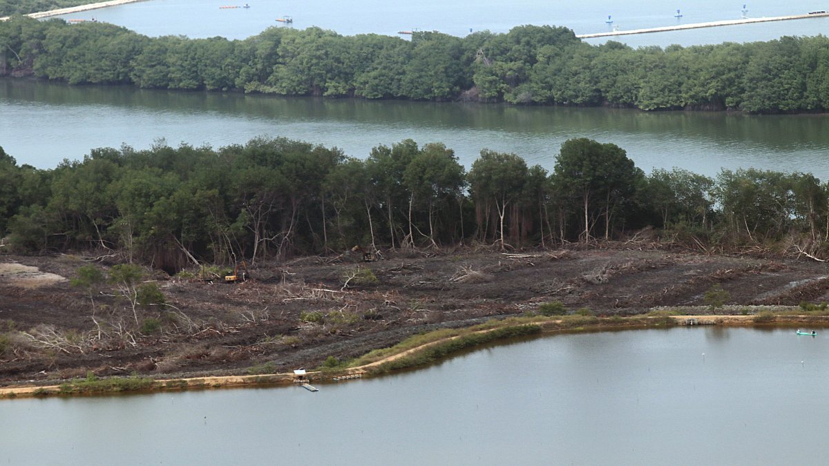 Denuncia

La Cámara de Acuacultura alertó del hecho a Ambiente. En un comunicado, recordó a los afiliados su obligación de cuidar de la naturaleza.