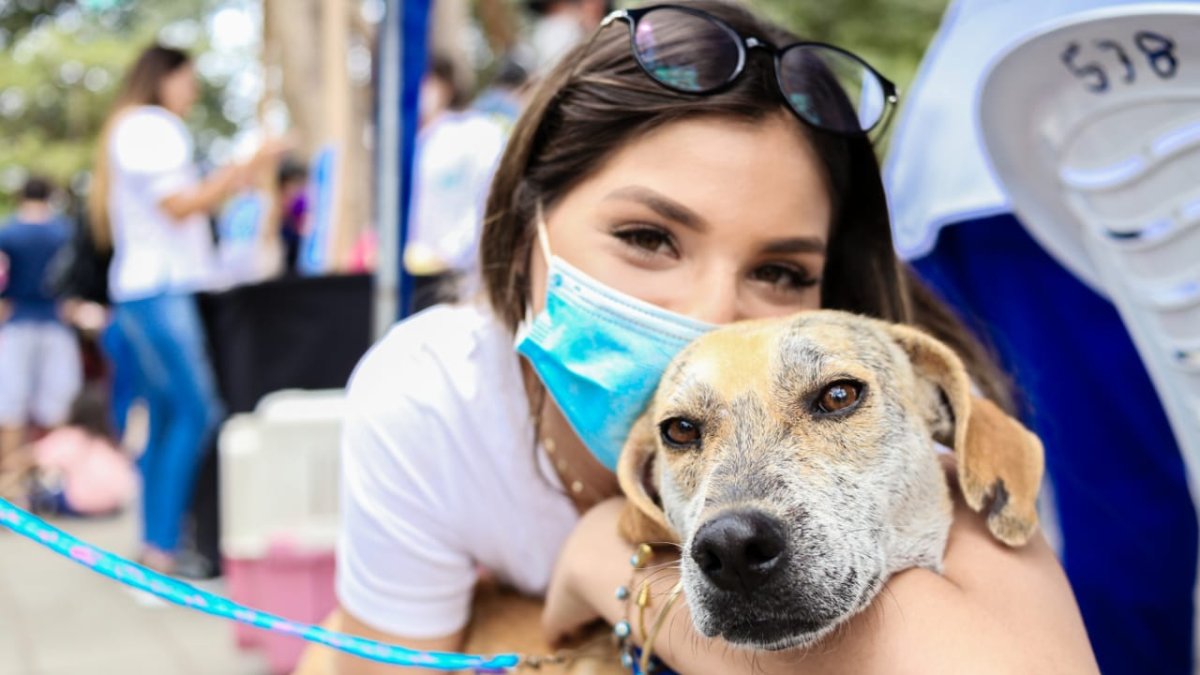 Hecho. 15 perros y 5 gatos fueron adoptados en la feria del parque de la Kennedy..