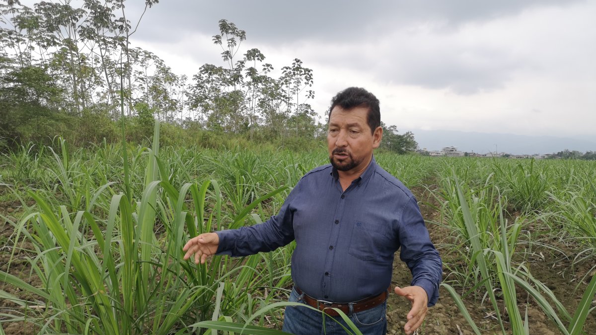 José Vásquez, presidente de los cañicultores de Milagro.