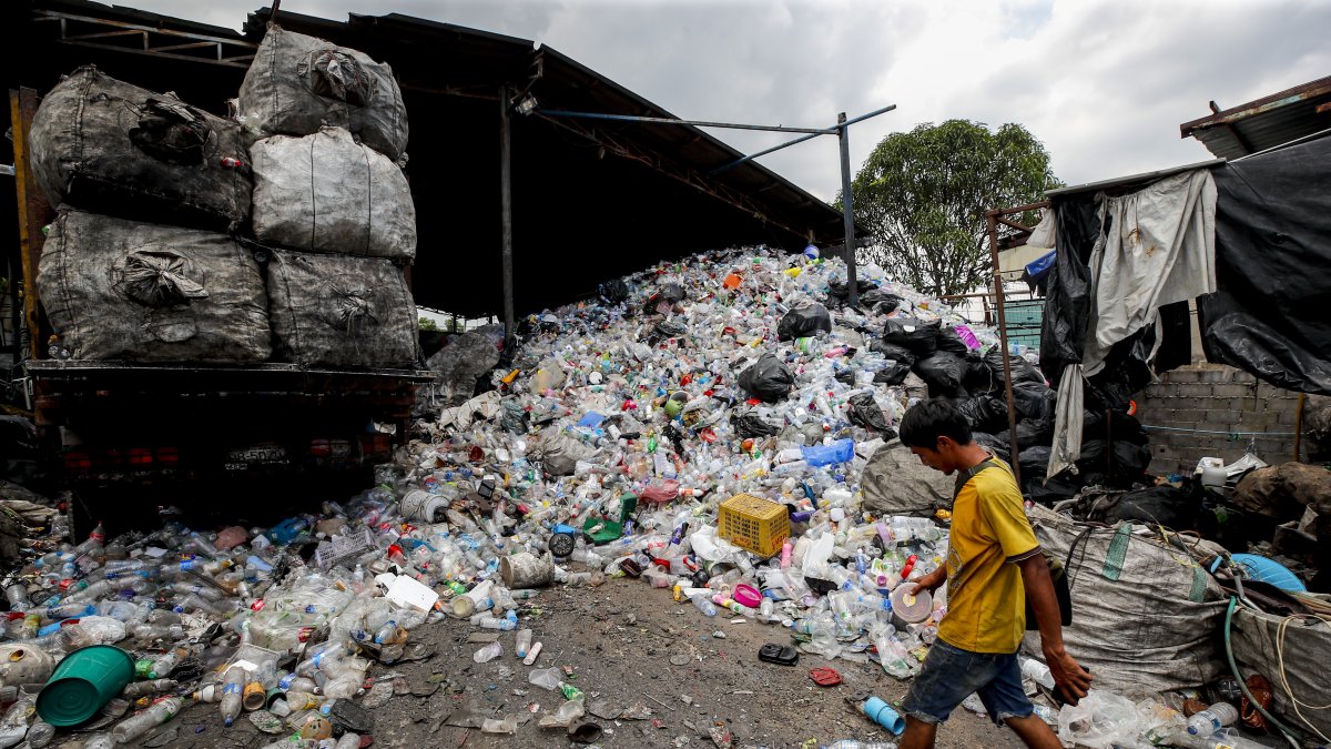 Referencial. El plástico se ha convertido en un grave problema para el medio ambiente e incluso para la supervivencia de muchas especies.