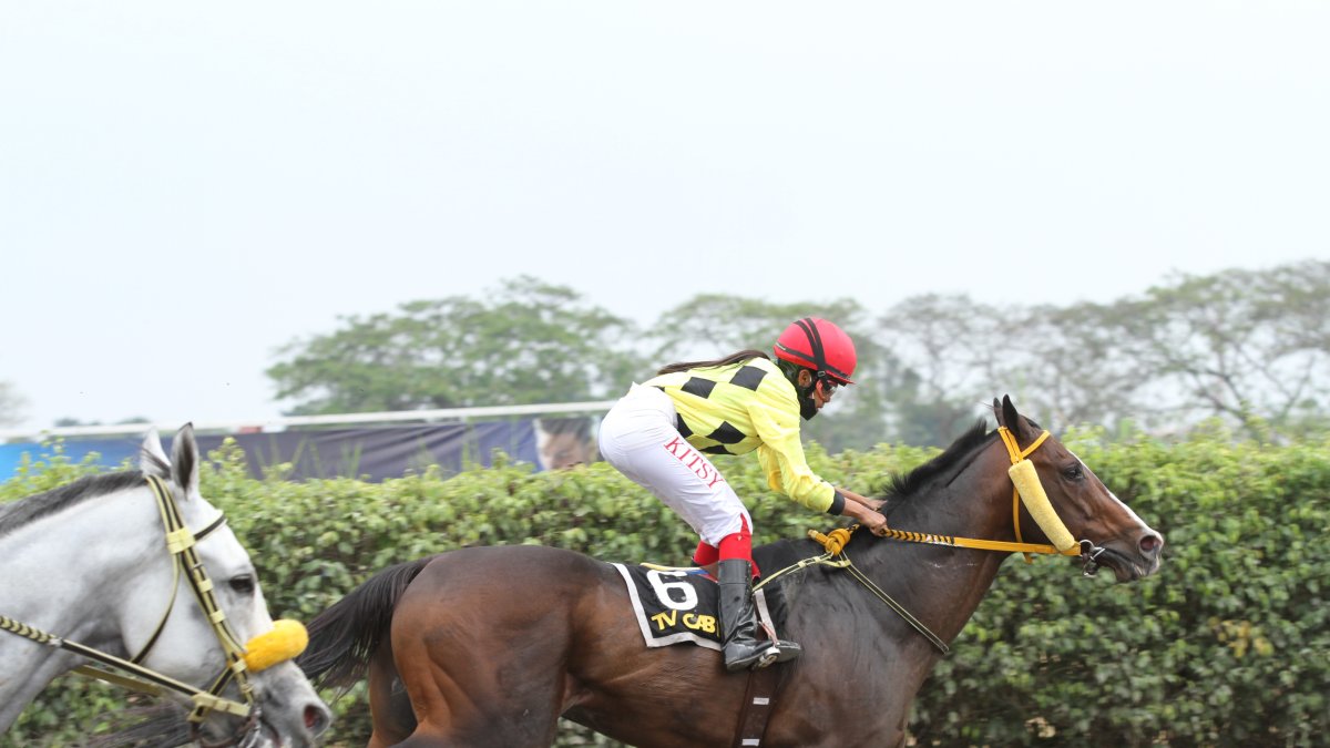 Ycaza sobre el lomo de Son Da Vino, uno de sus fieles corceles. Ha ganado 9 carreras con él.
