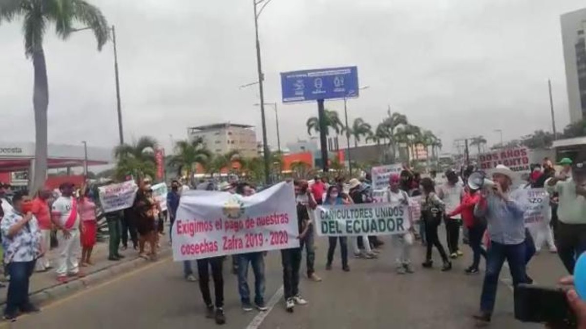 El lunes, cañicultores protestaron en Guayaquil.