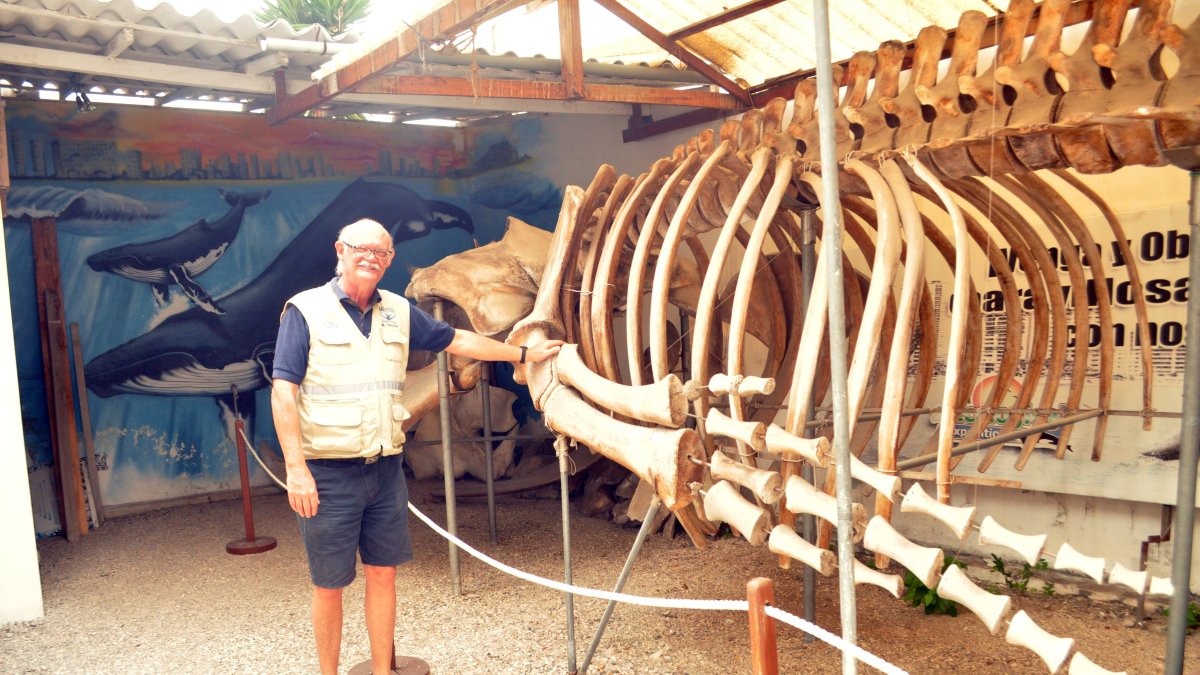 Ben Hasse junto al esqueleto de uno de los especímenes más grande que exhibe el Museo de las Ballenas, de Salinas, que creó en 2004 junto a Fernando Félix.