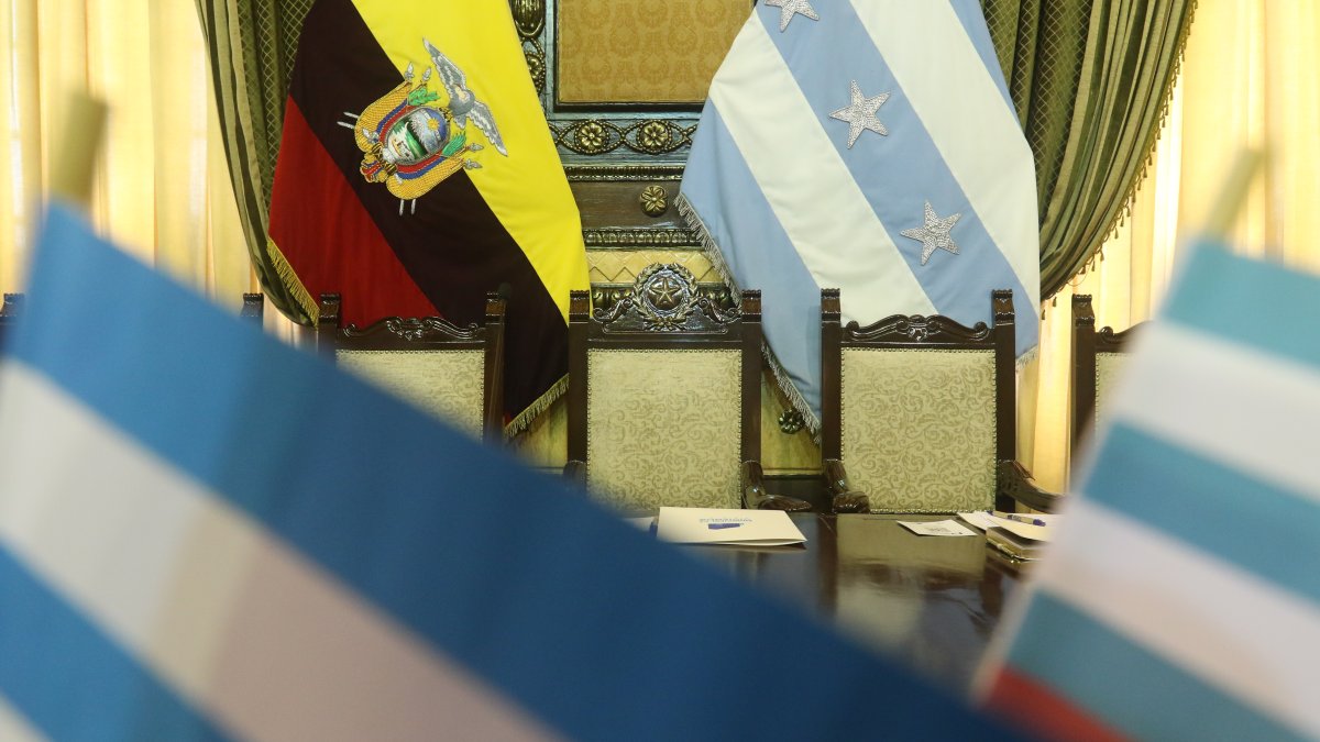 El sillón de Olmedo es el lugar que toma Viteri en las sesiones, que por la pandemia son virtuales.