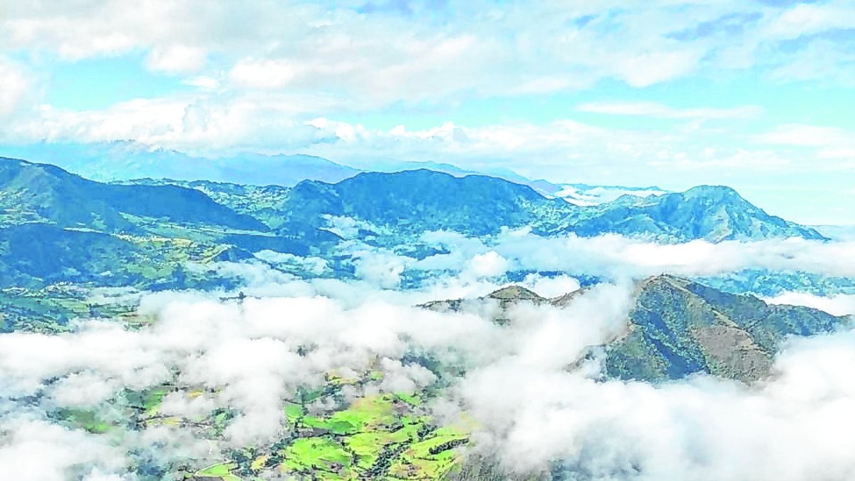 Bosque Aventura. En este lugar, ubicado en el km 33 vía a la costa, se puede recurrir de forma particular con la ayuda de una agencia turística.
