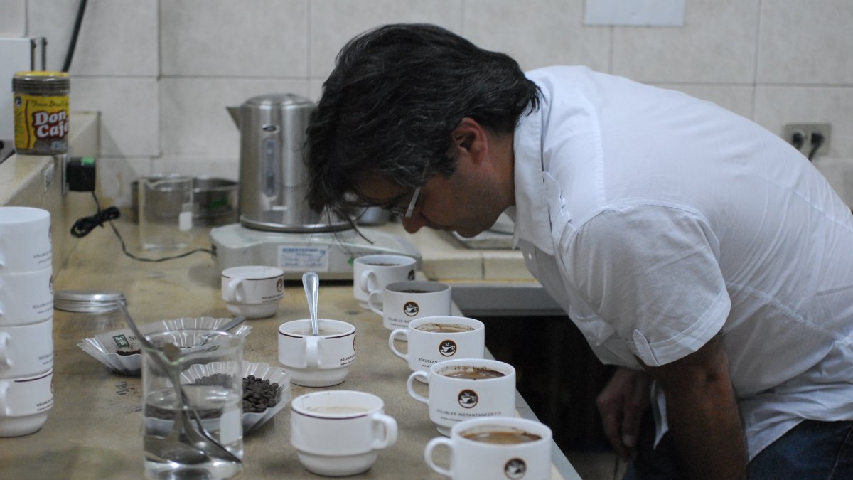 SICA realiza la cata del café que produce.