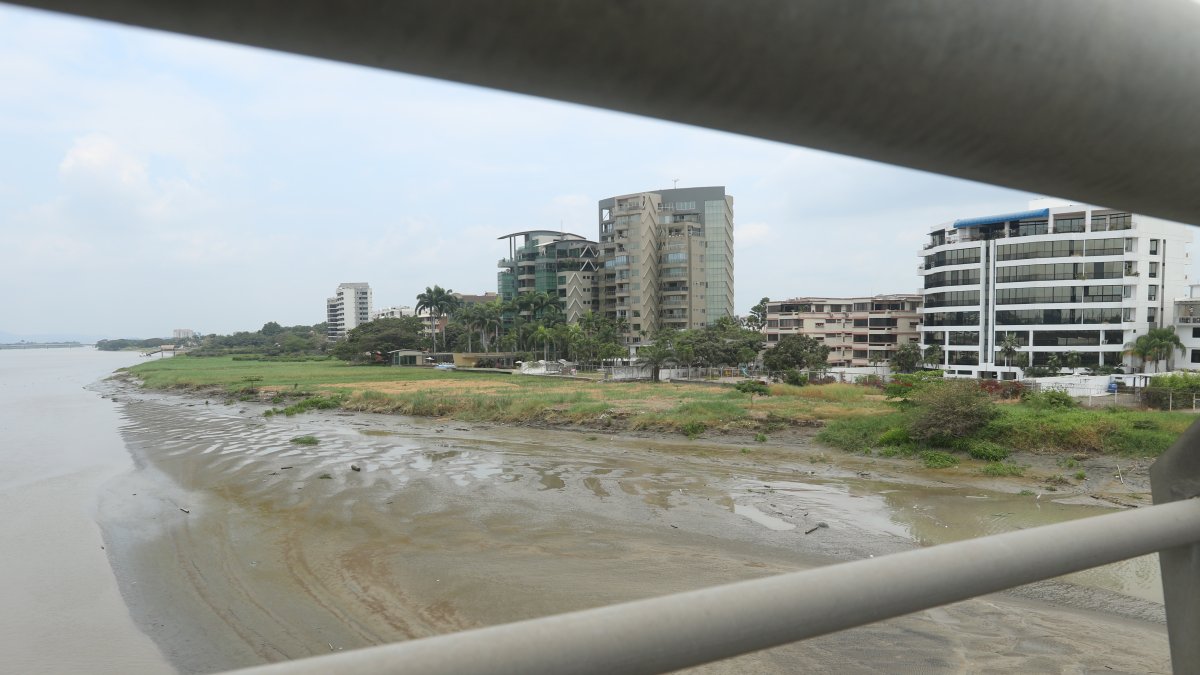 Proyectos. Los urbanistas plantean que en estos espacios se construyan corredores ecológicos que sirvan de puntos de encuentros al aire libre.