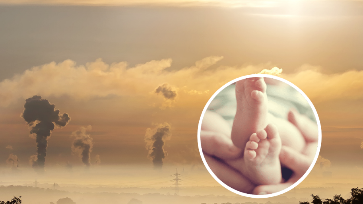 La polución también puede afectar a las embarazadas y sus fetos.