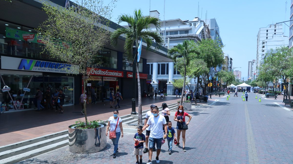 Estas plantas buscan darle sombra a los peatones durante los fines de semanas.
