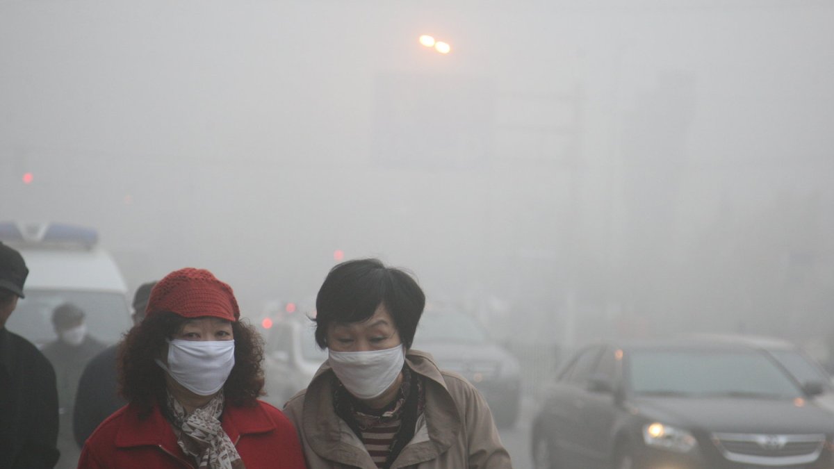 Aunque Japón, la quinta nación más contaminante del mundo, es uno de los países signatarios del Acuerdo de París para luchar contra el cambio climático, no ha remitido a la ONU metas concretas.