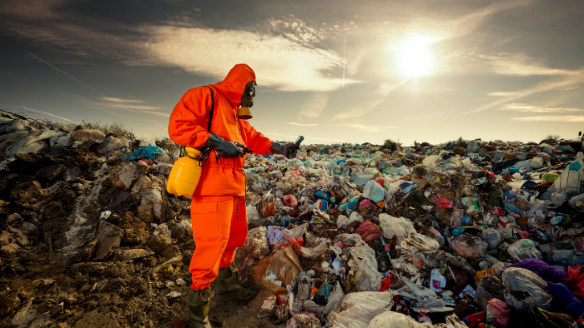 El 29 de septiembre se conmemoró el Día Internacional de la Concienciación sobre la Pérdida y Desperdicio de Alimentos.