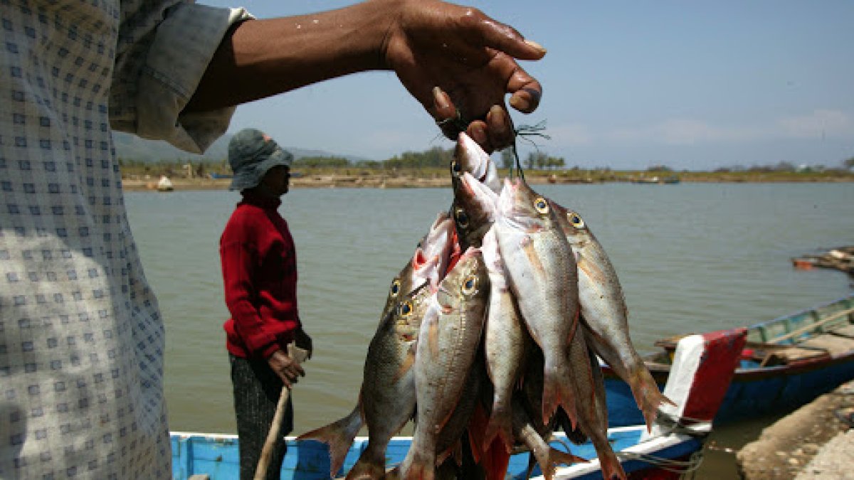 China señaló que el lote detectado que provenía de Ecuador contenía rastros de COVID-19 en sus empaques.