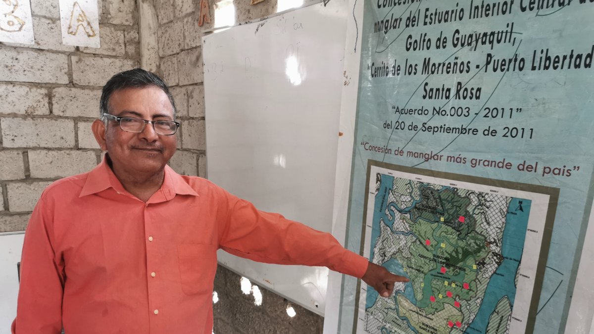 El custodio del manglar Genaro Vera muestra el mapa de los lugares identificados con tala.