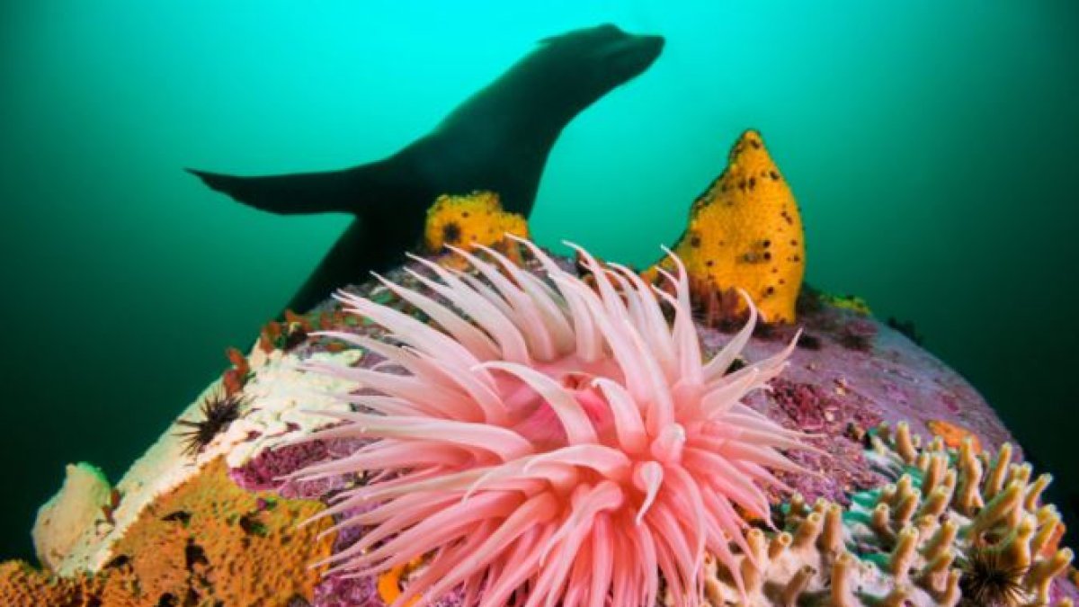 [MISSING]binding.image.description