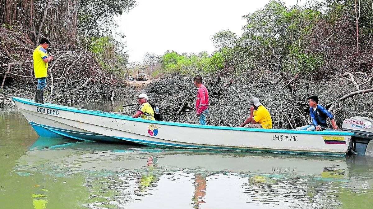 Escenario. Custodios observan una retroexcavadora en un sector del golfo de Guayaquil. La tala de manglar sigue, pese a que ya se denunció.