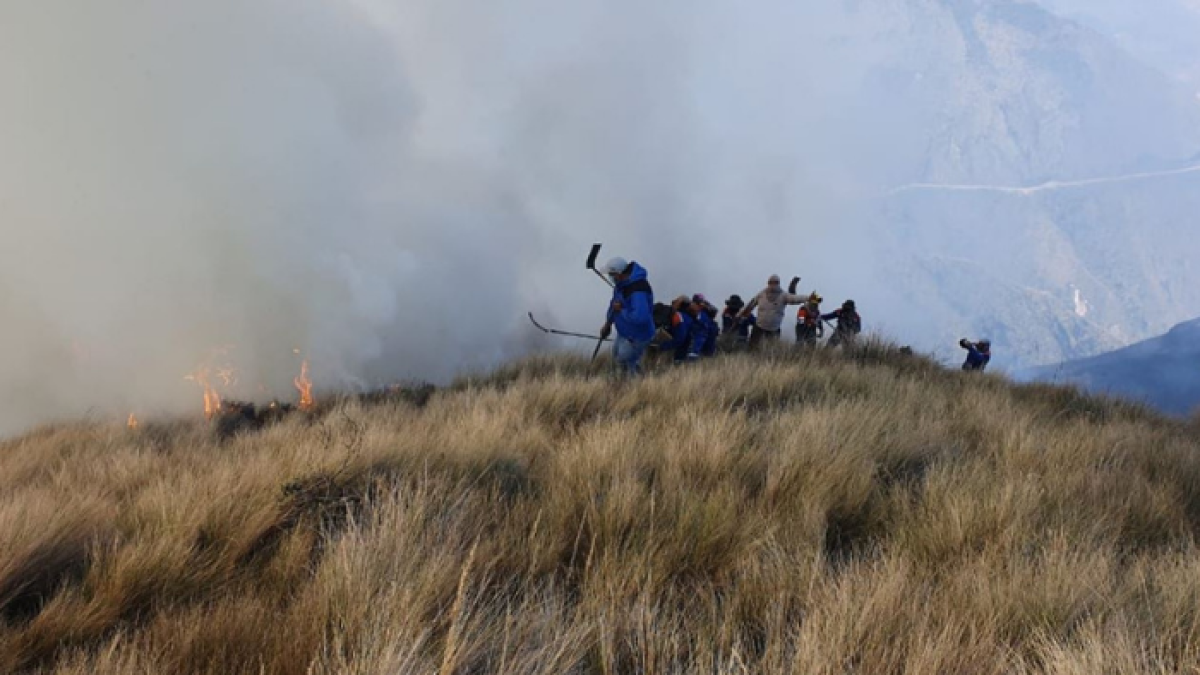 Un contingente de 1.000 personas, entre personal del Ministerio de Ambiente, el cuerpo de bomberos y moradores intentan apagar el incendio.