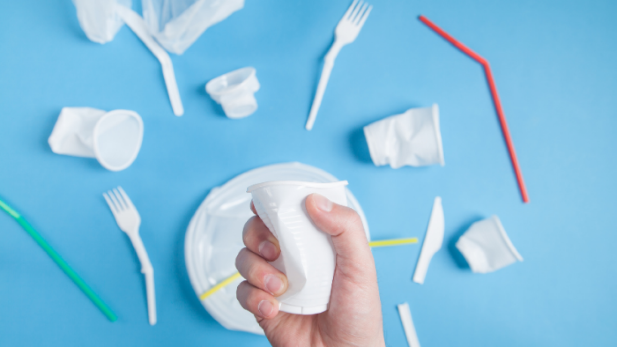 Las bolsas de plástico tienen un plazo de 48 meses, cuando deberán estar elaboradas en un 60 % de material reciclado.