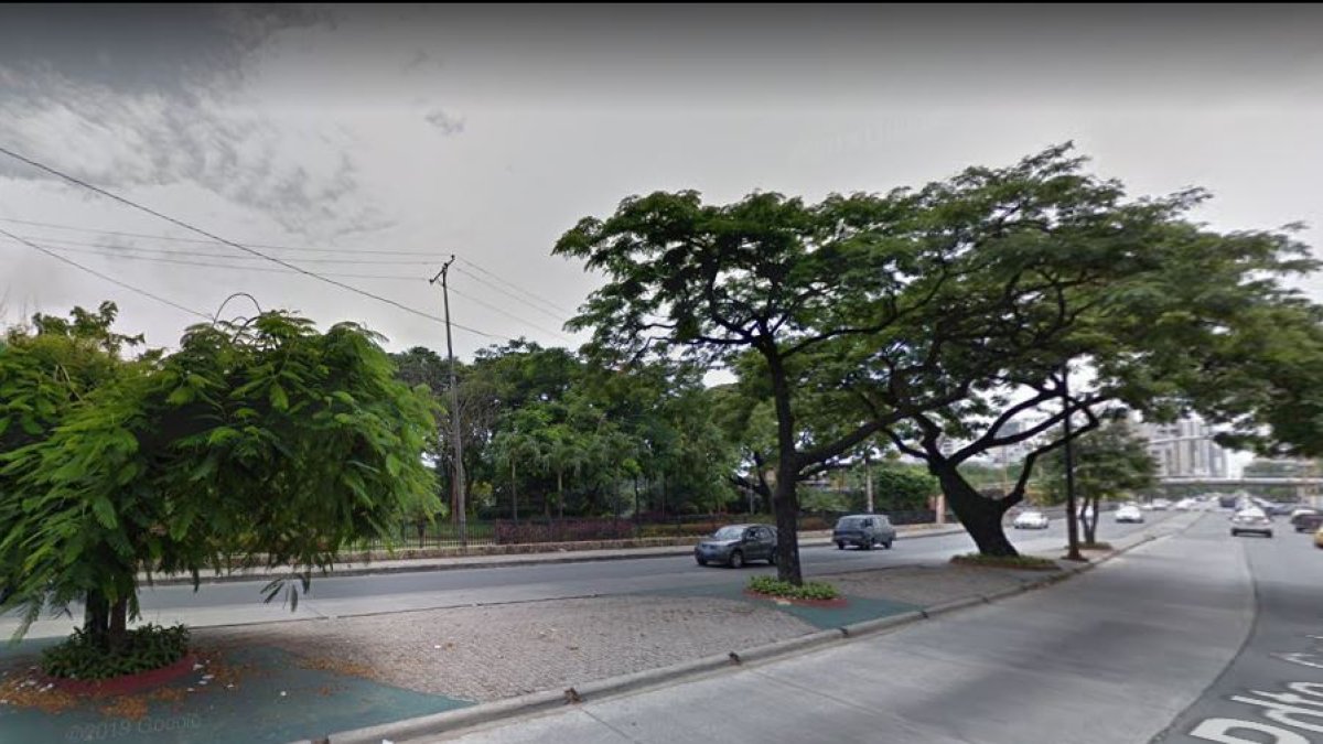 Este es el sector de donde será retirado el árbol.