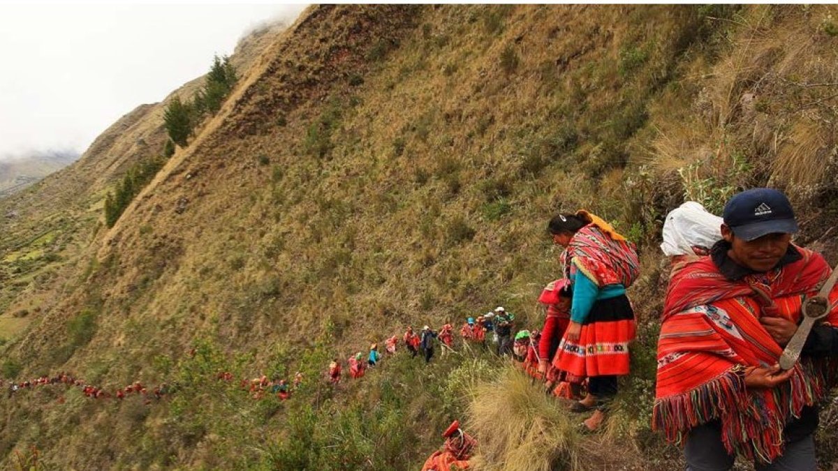 [MISSING]binding.image.description