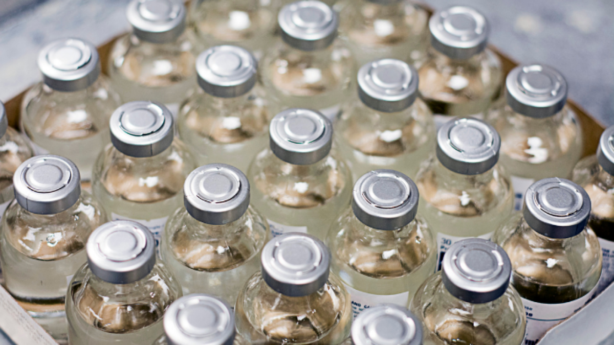 BioNTech dijo que esperan  suministrar hasta 50 millones de dosis antes de que acabe 2020.