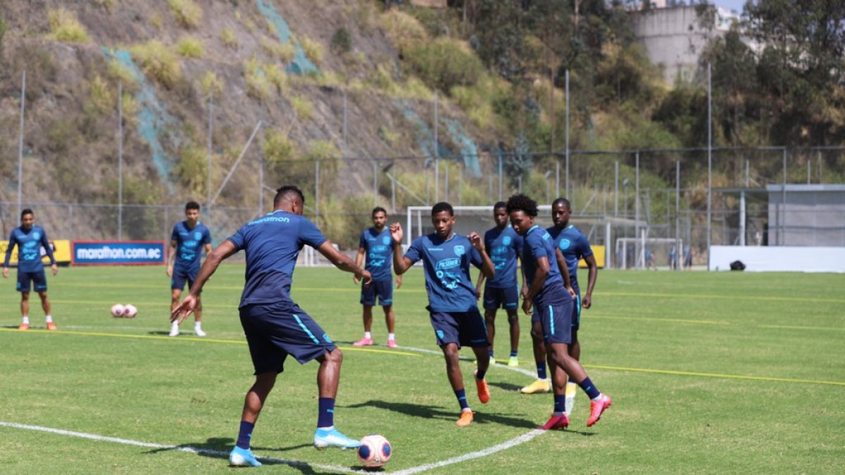 La selección nacional trabaja desde hoy enfocada en las eliminatorias al Mundial de Catar