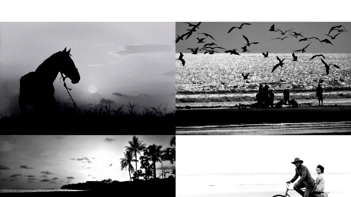 Fotografías parte del libro.