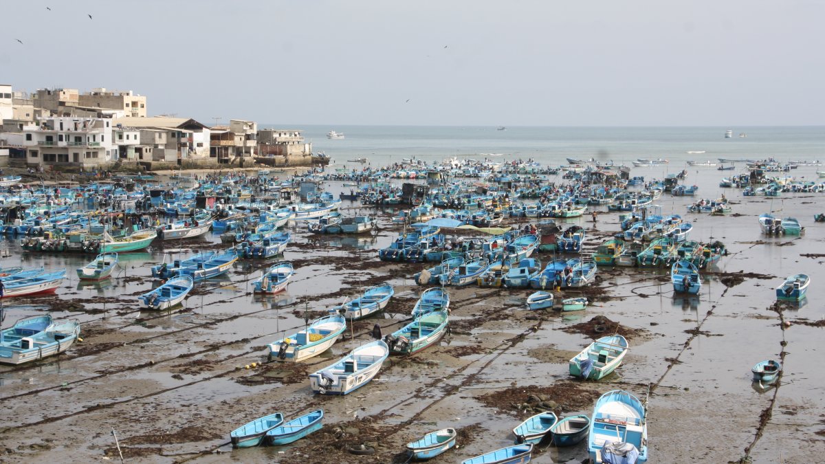 Hecho. El fenómeno se registra desde hace más de tres días e inquieta a los trabajadores, quienes afirman que no es la primera vez que ocurre.