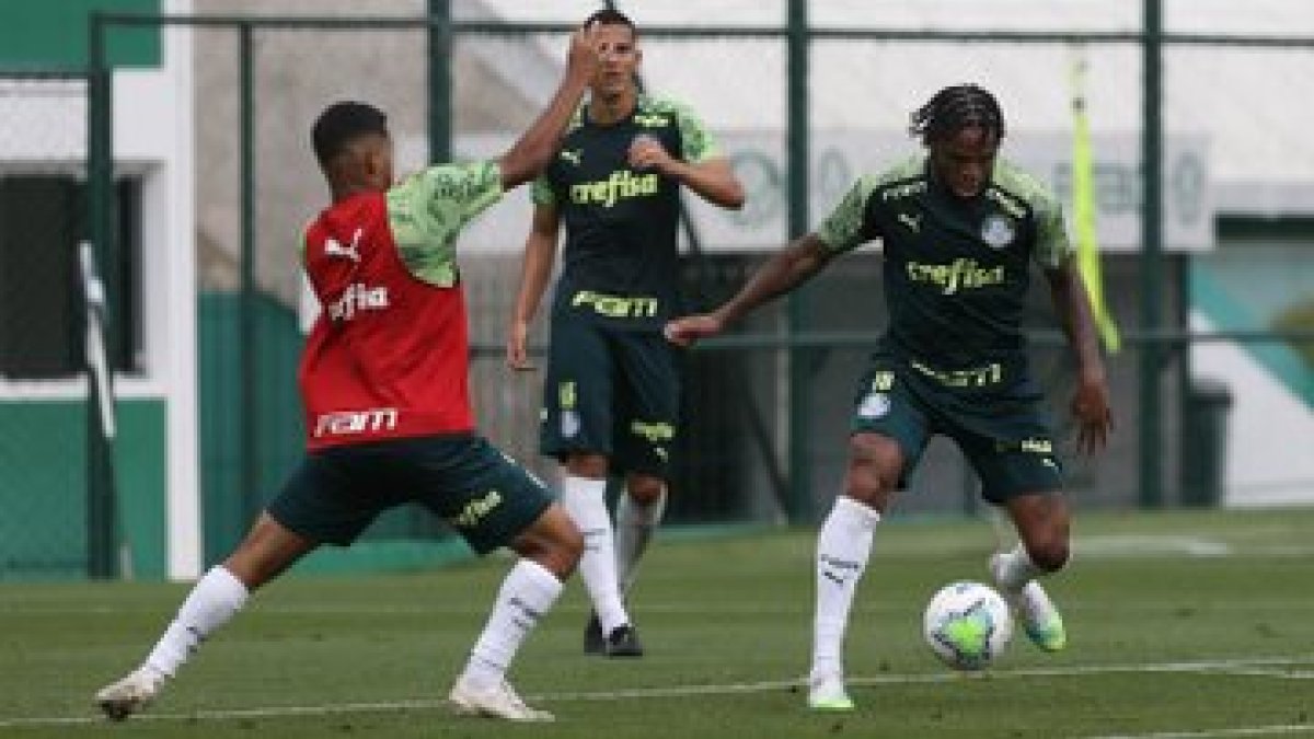 Los jugadores de Palmeiras tendrán que someterse a nuevos exámenes para determinar si llegan al partido contra Delfín