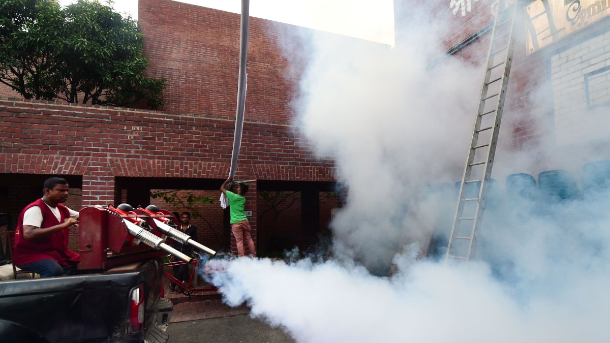 El dengue se contrae a través de la picadura del mosquito Aedes aegypti, cuyos criaderos suelen aparecer en recipientes con agua.