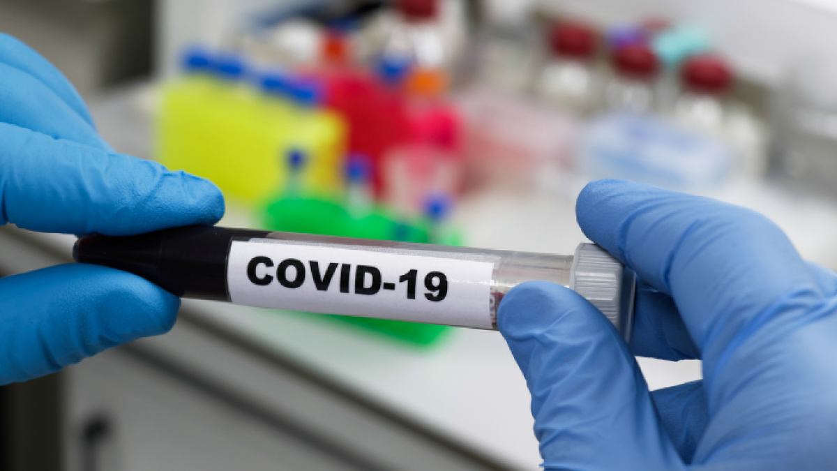 Sobre la situación en los cantones, en el informe de este domingo se precisa que Quito es la ciudad más afectada por la pandemia con 67.816 contagios, seguida de Guayaquil con 18.554.