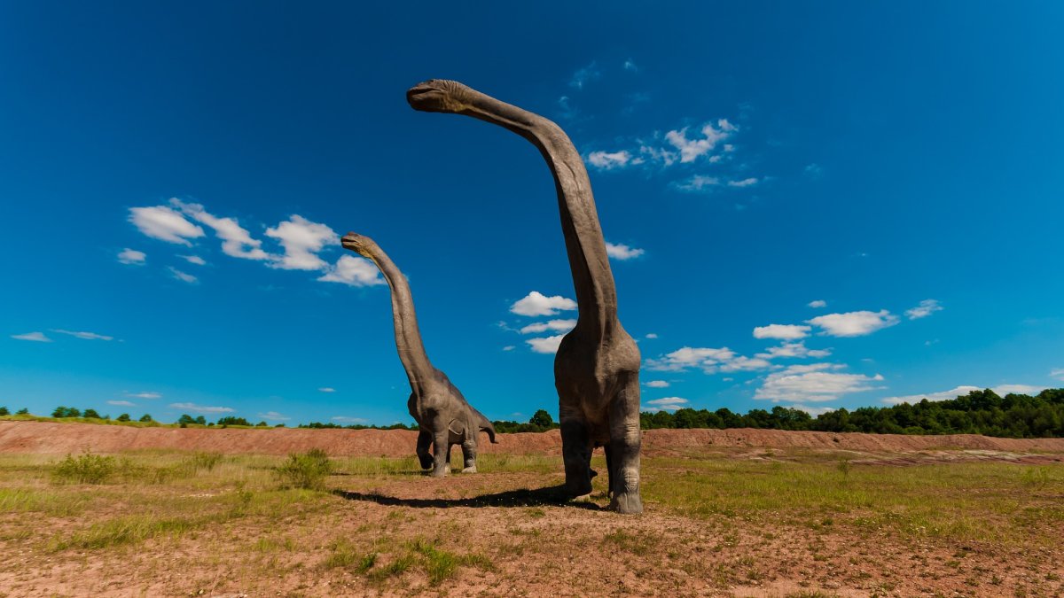 Referencial. Los dinosaurios estaban muy extendidos en todo el mundo en el momento del impacto.