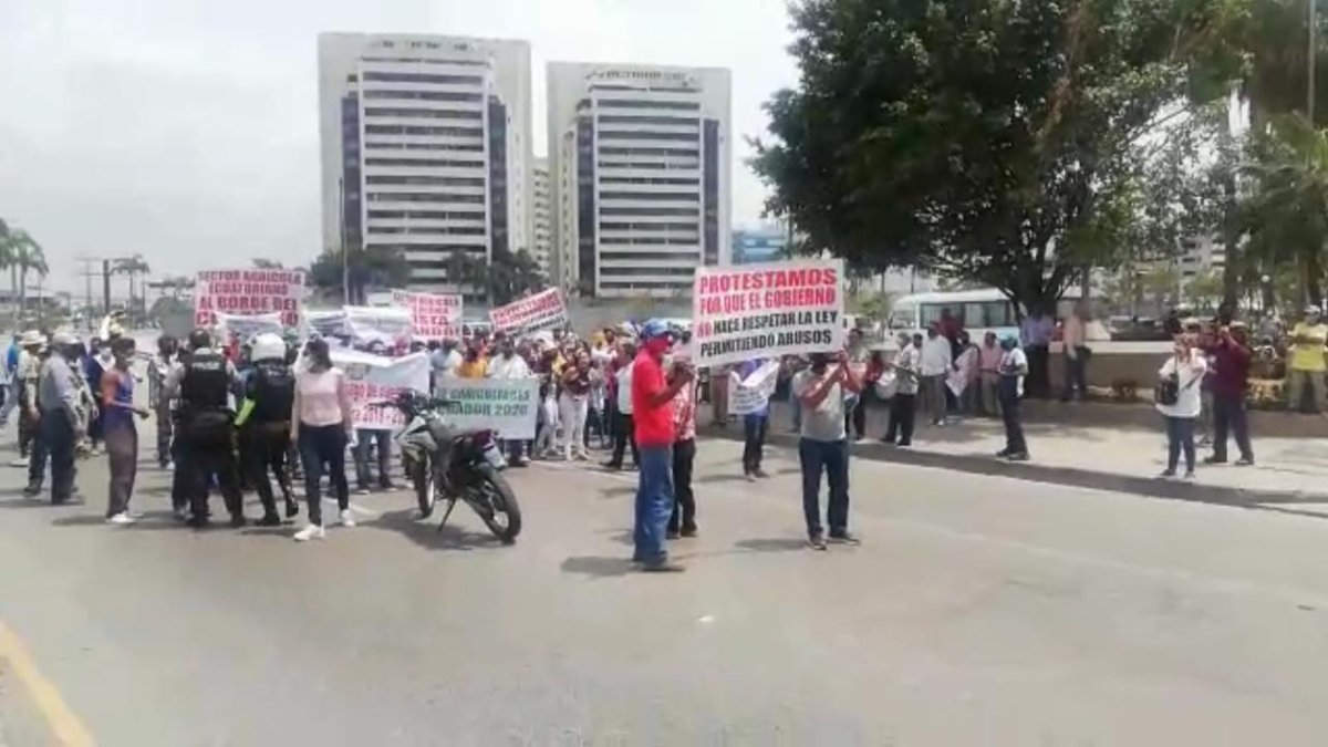 En septiembre, los cañicultores protestaron en Guayaquil.