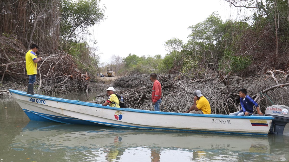 La tala de mangles afecta el espacio natural de Guayaquil.