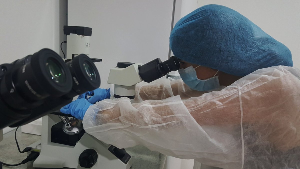 Investigación. El proyecto se basa en el trasplante de mitocondrias de células madre para regenerar tejidos. Y, a largo plazo, ralentizar su envejecimiento.