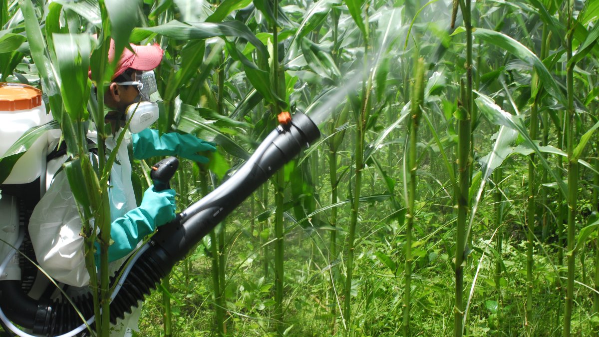 En el mercado crecen las quejas por un reciente cobro del IVA en insumos agrícolas.