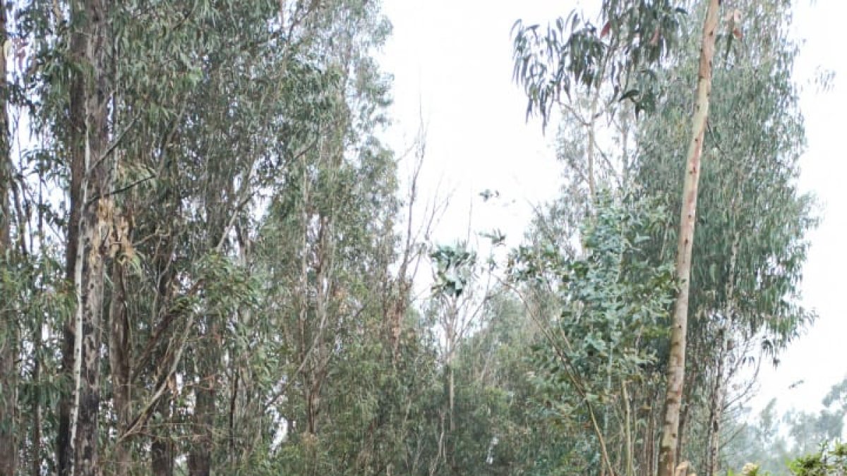 La empresa de Agua potable también controló emergencias.